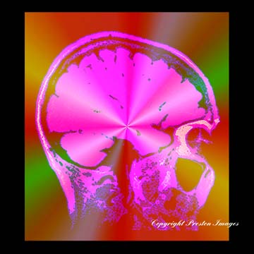 abstract art gallery image